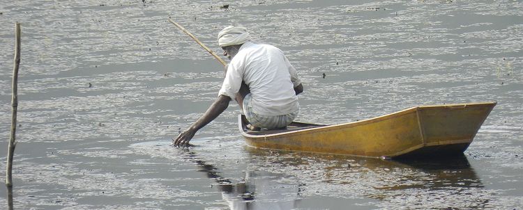 Fischer auf See in Madhya Pradesh