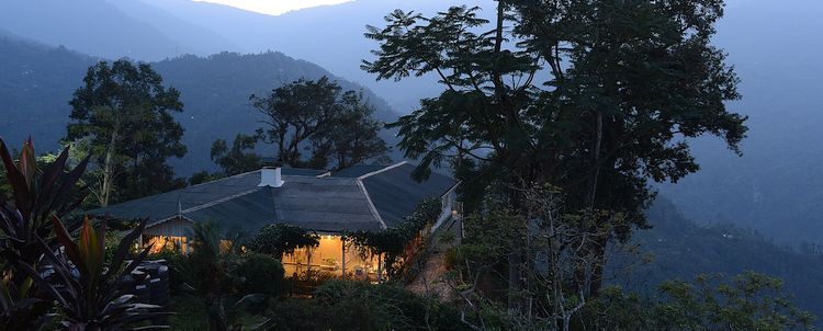 Darjeeling Teegarten Abendstimmung