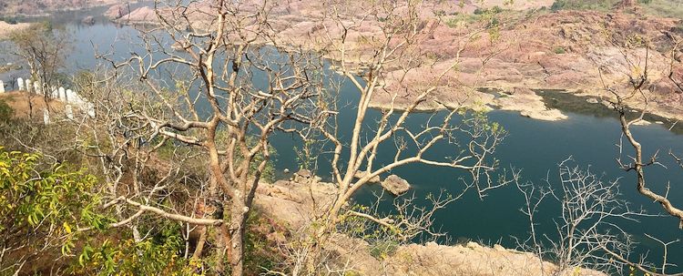 Naturschutzgebiet Ken Gharial bei khajuraho