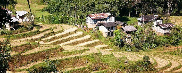 Terrassierte Reisfelder Bamboo Retreat Sikkim