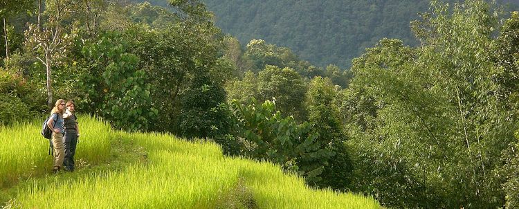 Individualreise Wandern und Kultur Sikkim Bamboo Retreat