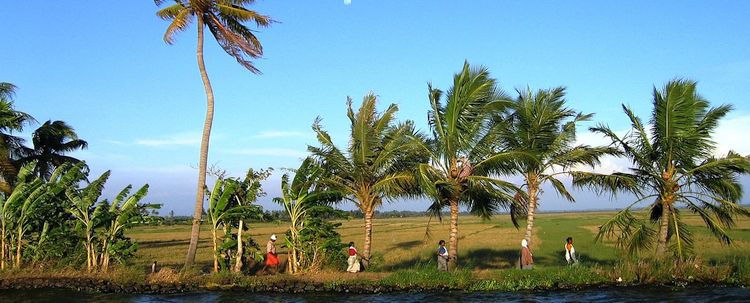 Kerala Wasserkanäle Backwaters