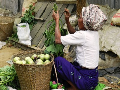 A Glimpse of Bangladesh