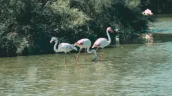 Slider Img