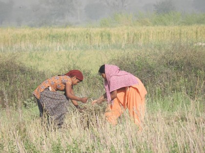 A Glimpse of Uttar Pradesh