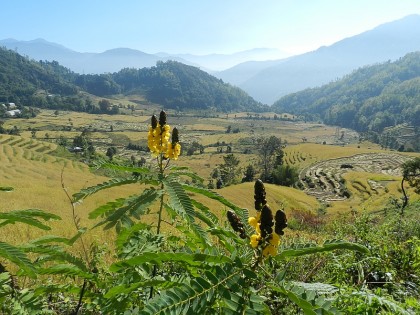  Landscape of Sikkim