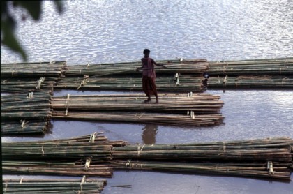 Tripura Bamboo Transportation Incredible India