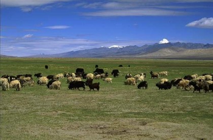  A Glimpse of Tibet