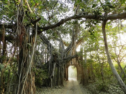  A Glimpse of Rajasthan