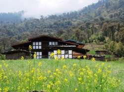 A Glimpse of Bhutan