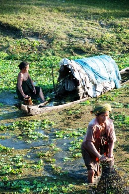 A Glimpse of Assam