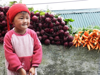 A Glimpse of Darjeeling