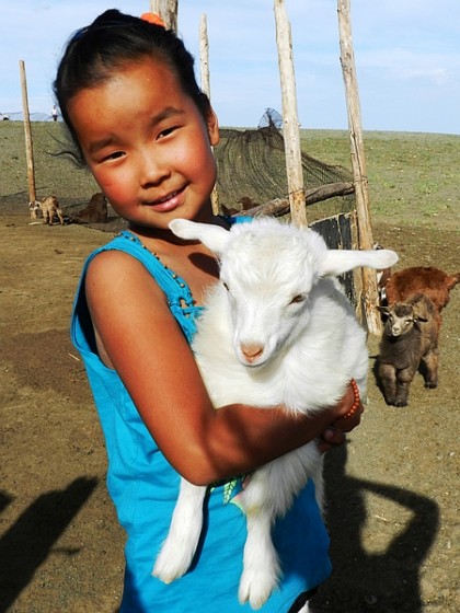 A Glimpse of Mongolia