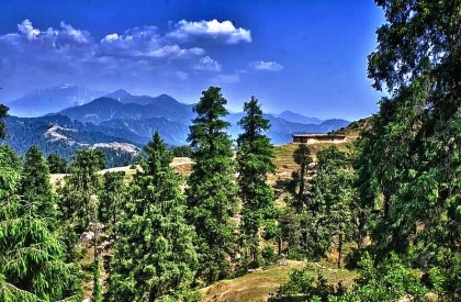 Himachal Pradesh Landscape