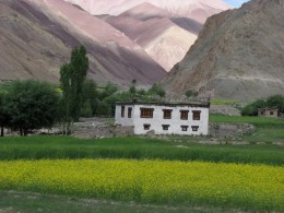 Homestays in Ladakh