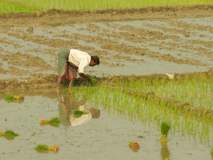 Farming in Bangladesh