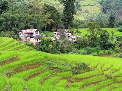 Landscape of Sikkim