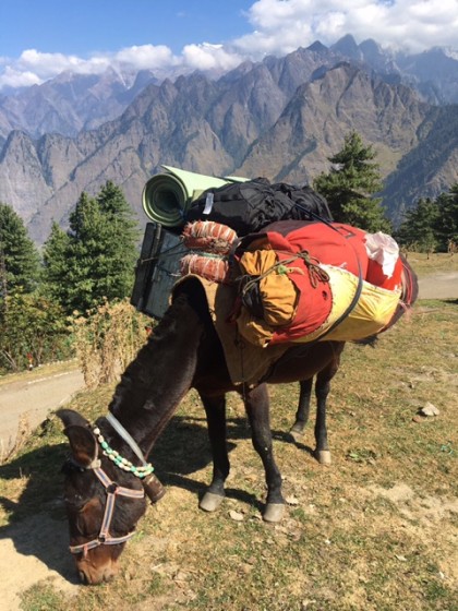 A Glimpse of Uttarakhand