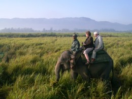 A Glimpse of Assam