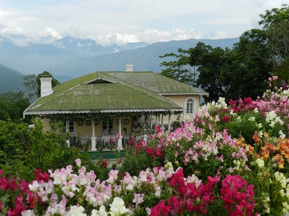 A Glimpse of Darjeeling