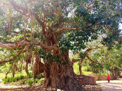  A Glimpse of Rajasthan